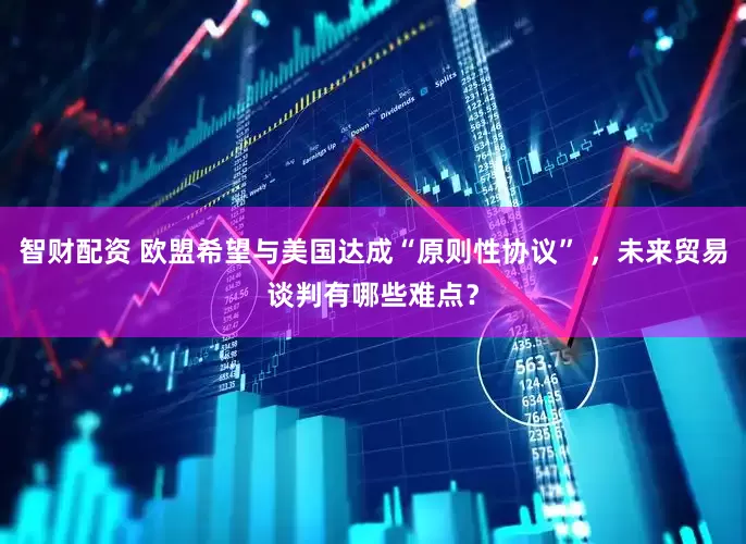 智财配资 欧盟希望与美国达成“原则性协议” ，未来贸易谈判有哪些难点？