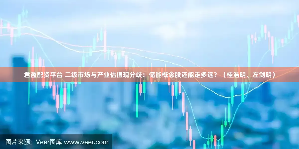 君盈配资平台 二级市场与产业估值现分歧：储能概念股还能走多远？（桂浩明、左剑明）