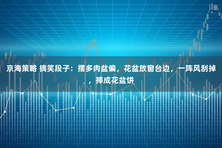 京海策略 搞笑段子：摆多肉盆偏，花盆放窗台边，一阵风刮掉，摔成花盆饼